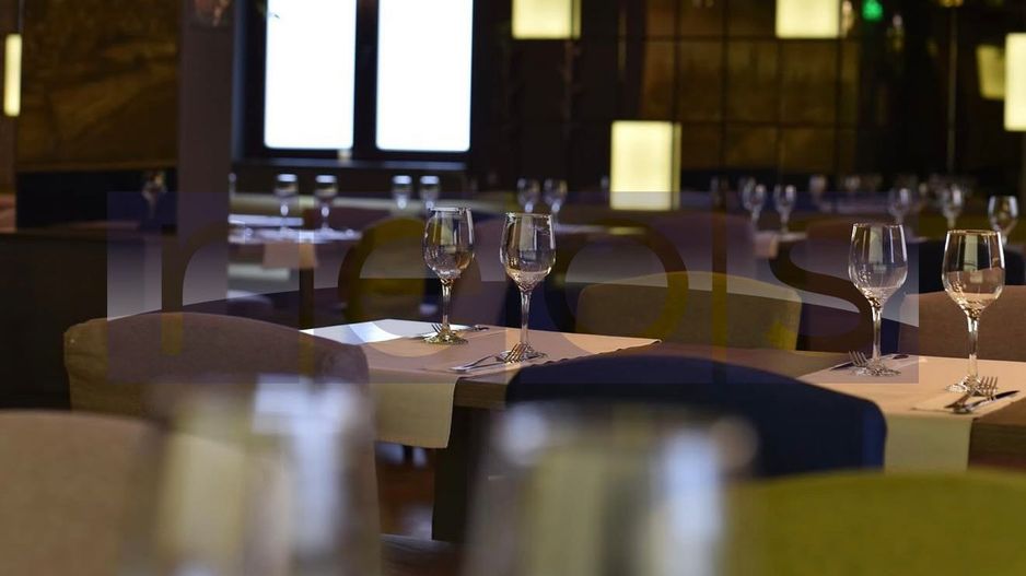 OPORTUNITATE VANZARE VILA RESTAURANT | GRADINA ICOANEI | - Poză 28