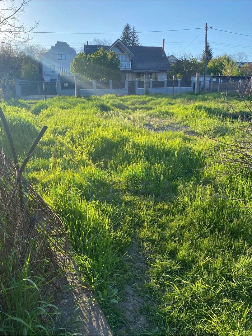 Casă 250 mp, teren 1.050 mp, Vulturi, la 8 km de Copou - Poză 3