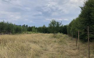 Teren | Intravilan | Valea Avrigului | Autorizatie | 2000mp | Fantana - Poză 5