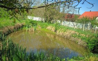 Vânzare, casă, com. Boșcana, r-nul Criuleni - Poză 11