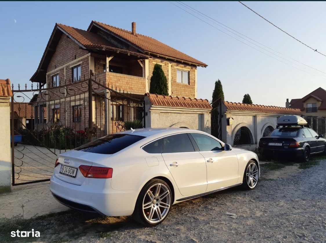 Casa de vanzare P+1, 4 Garaje, Vetis - Poză 3