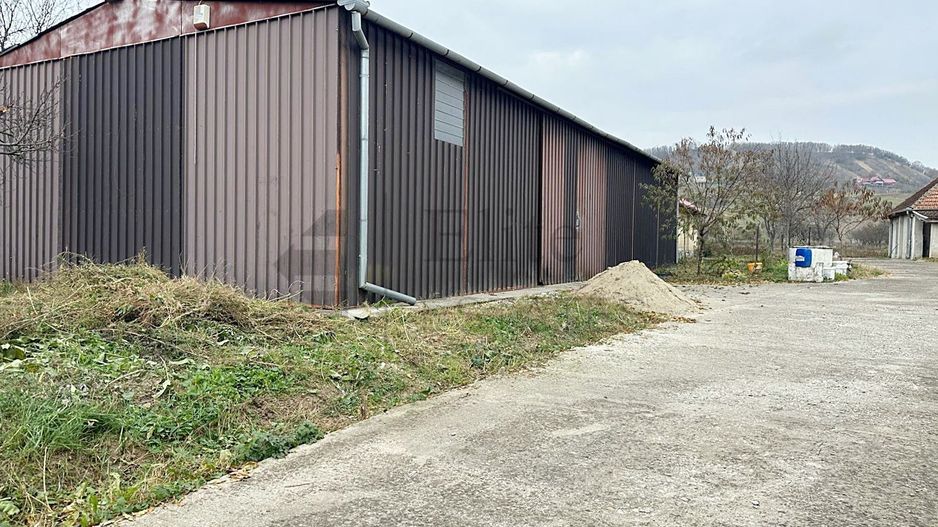 Casa cu 3 Hale si teren 8000 mp in Ulileacu de Cris, Bihor - Poză 5