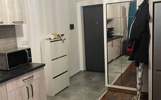 Garsoniera- Brazda lui Novac - Poză 7