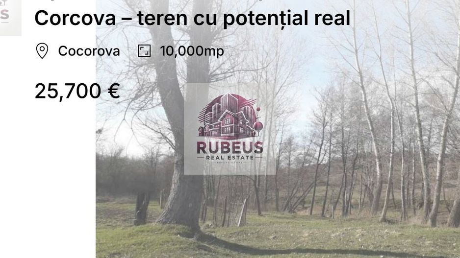 Oportunitate rară! 1 ha pădure Corcova – teren cu potențial real - Poză 1