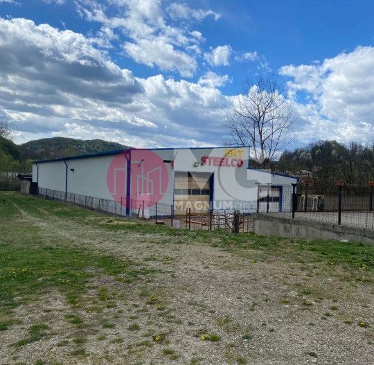 Hala industriala + teren Pausesti Valcea - Poză 2