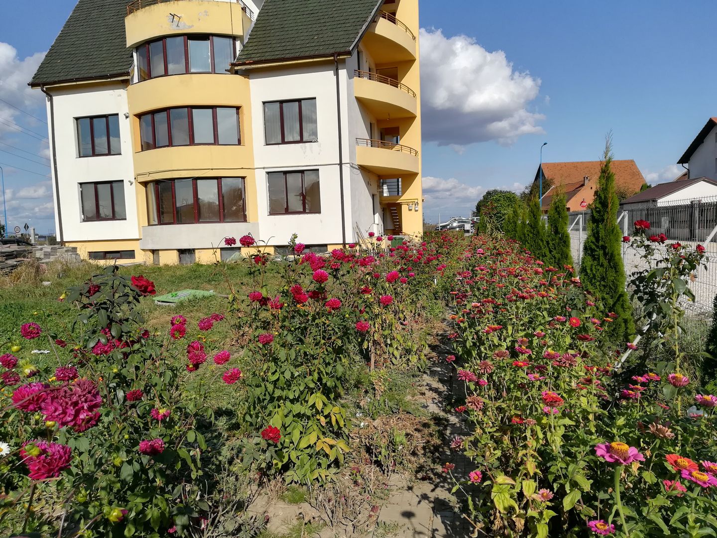 inchirieri Apartamente in casa 2 camere - Poză 1