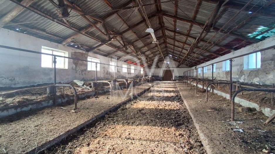 Ferma complet echipata de vanzare – zona Agnita, judetul Sibiu - Poză 11
