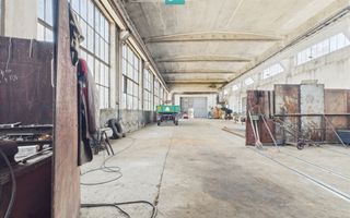 Complex industrial cu hale și teren  în Orțișoara - Poză 40