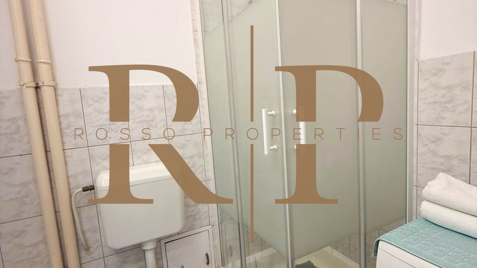 Apartament 2 Camere Cismigiu ** Mobilat si Utilat* - Poză 16