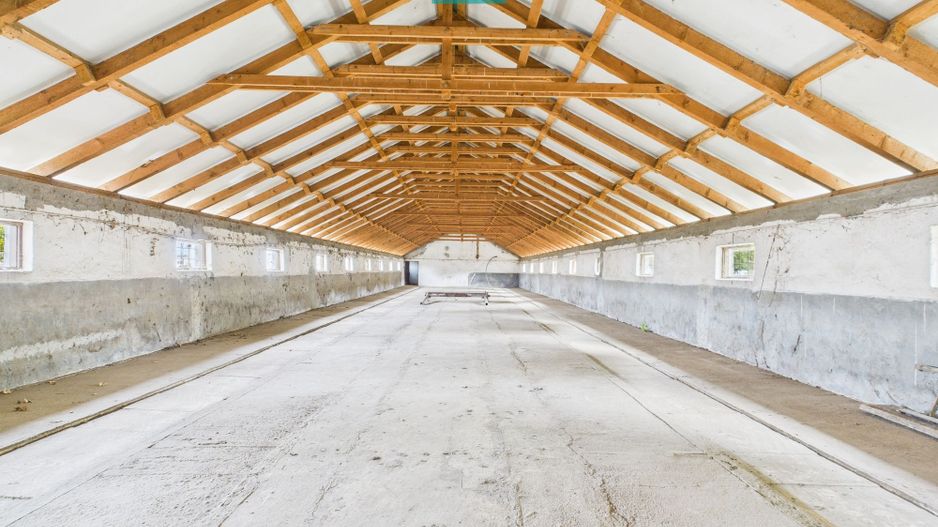 Hală pentru producție / fermă zootehnică  - Variaș - Poză 9