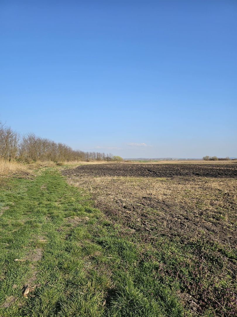 Teren extravilan pentru balastiera Biharia - Poză 5