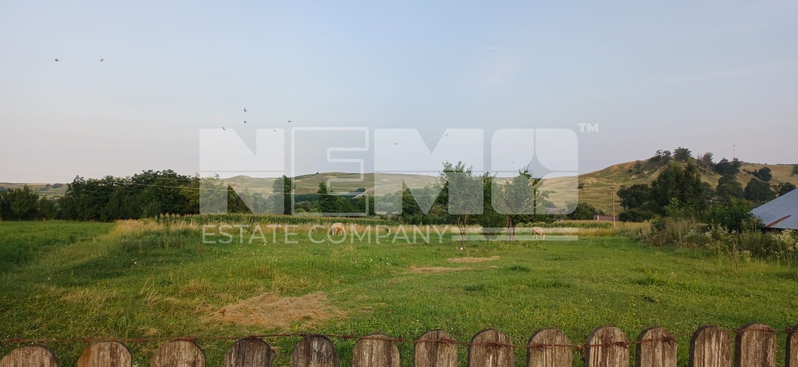 Teren Intravilan 30 Ari I Ilisesti/Suceava I 35.000Euro - Poză 3