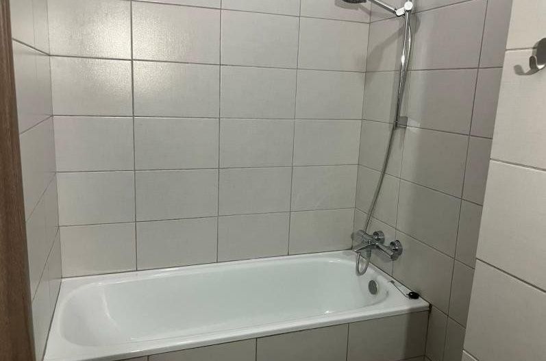 Apartament Parcul Circului/Teiul Doamnei - Poză 13