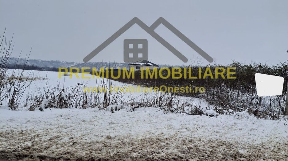 Teren de vânzare – Zona Andrășești – 16.000 mp - Poză 4