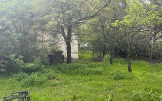 TEREN INTRAVILAN 7018 MP CAMPULUNG - Poză 29