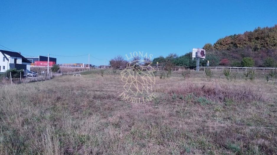 Teren intravilan 1,23 Ha la DN17 cu utilitati-livada-Crainimat - Poză 2