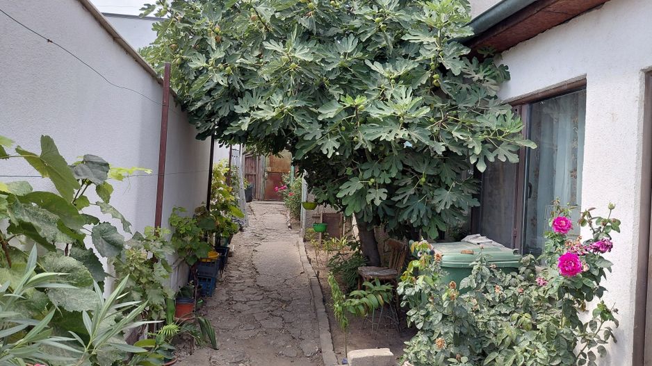 Casa  Galati zona Parcul Carol - Poză 1