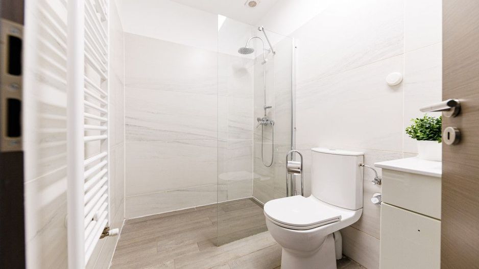 Apartament 2 camere, parter, renovat, curte proprie 50 mp- Piata Iuliu Maniu - Poză 15