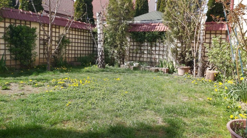 Ag EUROPA vinde casa individuala 7 cam  teren 4 ari zona TITULESCU . - Poză 12