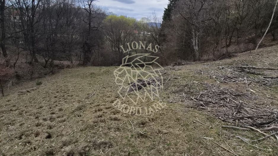 Teren 500 mp- 5 minute centru- investitie, cabana in natura, Bistrita - Poză 2