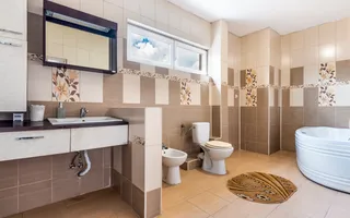 Casa cu 10 camere de vanzare pe str. Corneliu Coposu - Poză 11