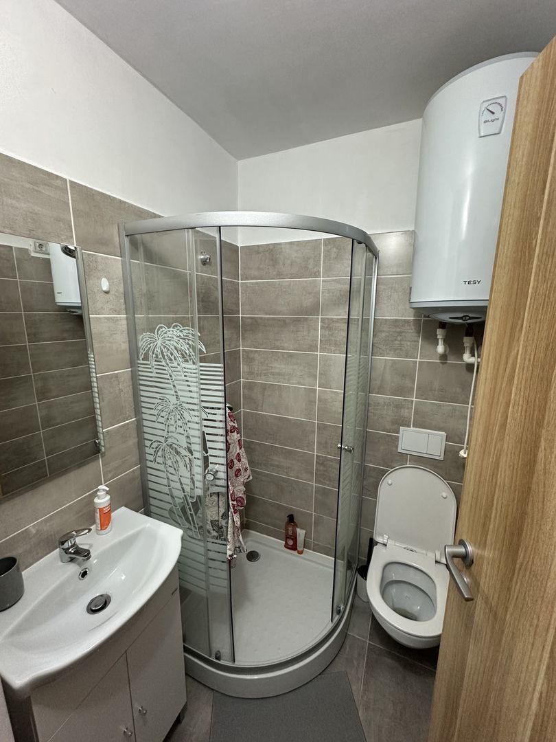 Apartament 1 camera la Mansarda zona Bucovinei - Poză 9