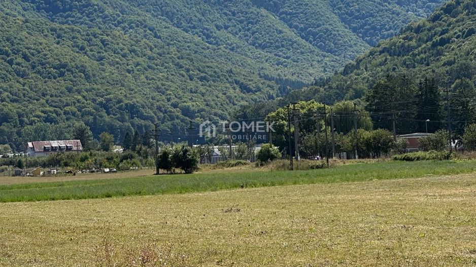 Teren industrial,Cucului-INA-Avicola - Poză 9