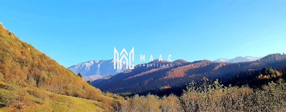 Oportunități de Investiție în Terenuri Sebesul de Sus - Poză 1