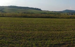 Teren 5500 mp-oportunitate investitie-pretabil cabana-Jelna - Poză 1