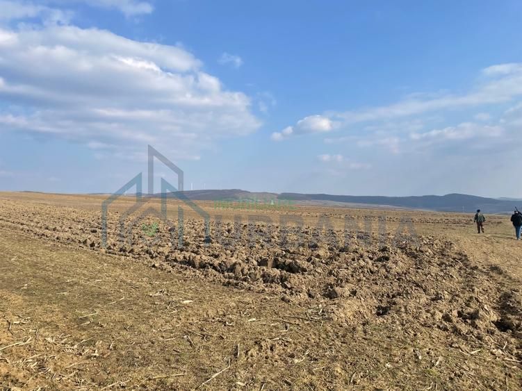 Casa Batraneasca 100 MP + teren intravilan 400 MP, 4500 MP extravilan - Poză 14