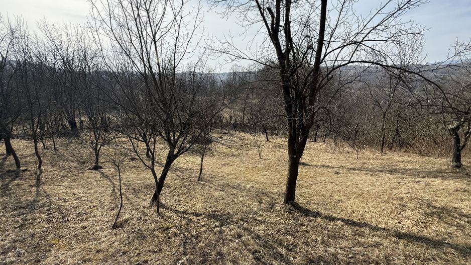 Teren intravilan 2788 mp deschidere 55 ml cu vedere panoramica ! - Poză 6