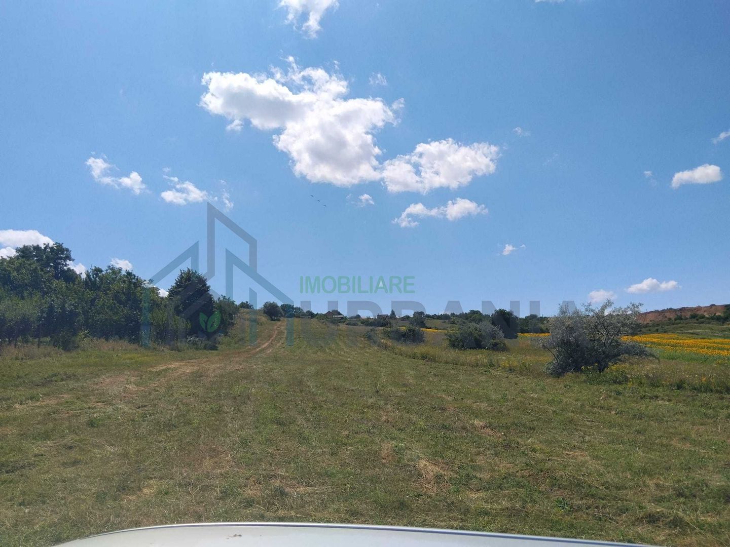 Teren de vânzare, Breazu, Iași – 6.500 mp - Poză 2