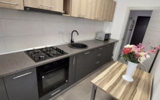 Garsoniera Spatioasa Metalurgiei - Poză 2
