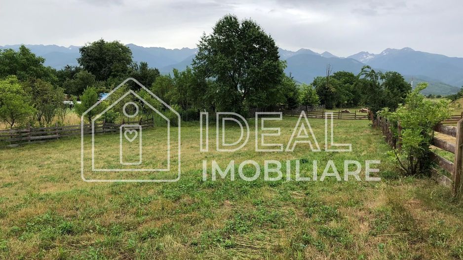 Teren intravilan | 1829mp | Cârțișoara - Poză 5