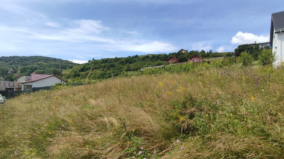 Teren Autorizat si Proiect Casa Individuala - Poză 6