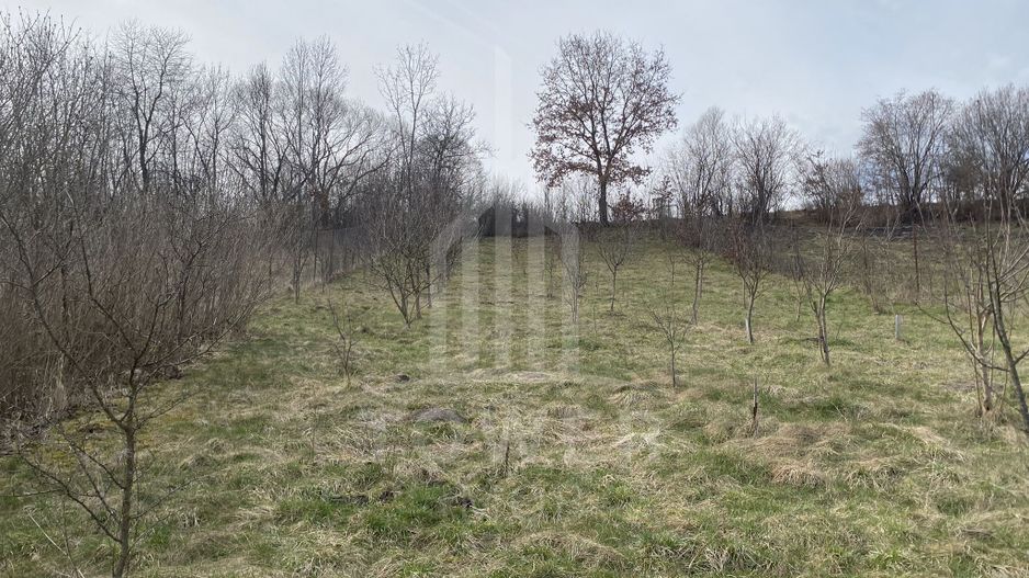 Casă săsească autentică | 207 mp utili | 1500 mp teren | Sat Apos, Sibiu - Poză 23