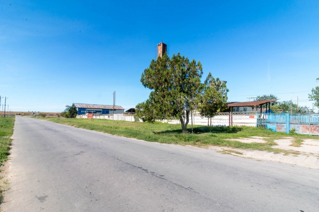 Hala industrial-comerciala - Poză 13