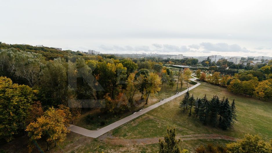 Chirie, apartament, 2 camere, bd. Ştefan cel Mare şi Sfînt, Centru - Poză 10