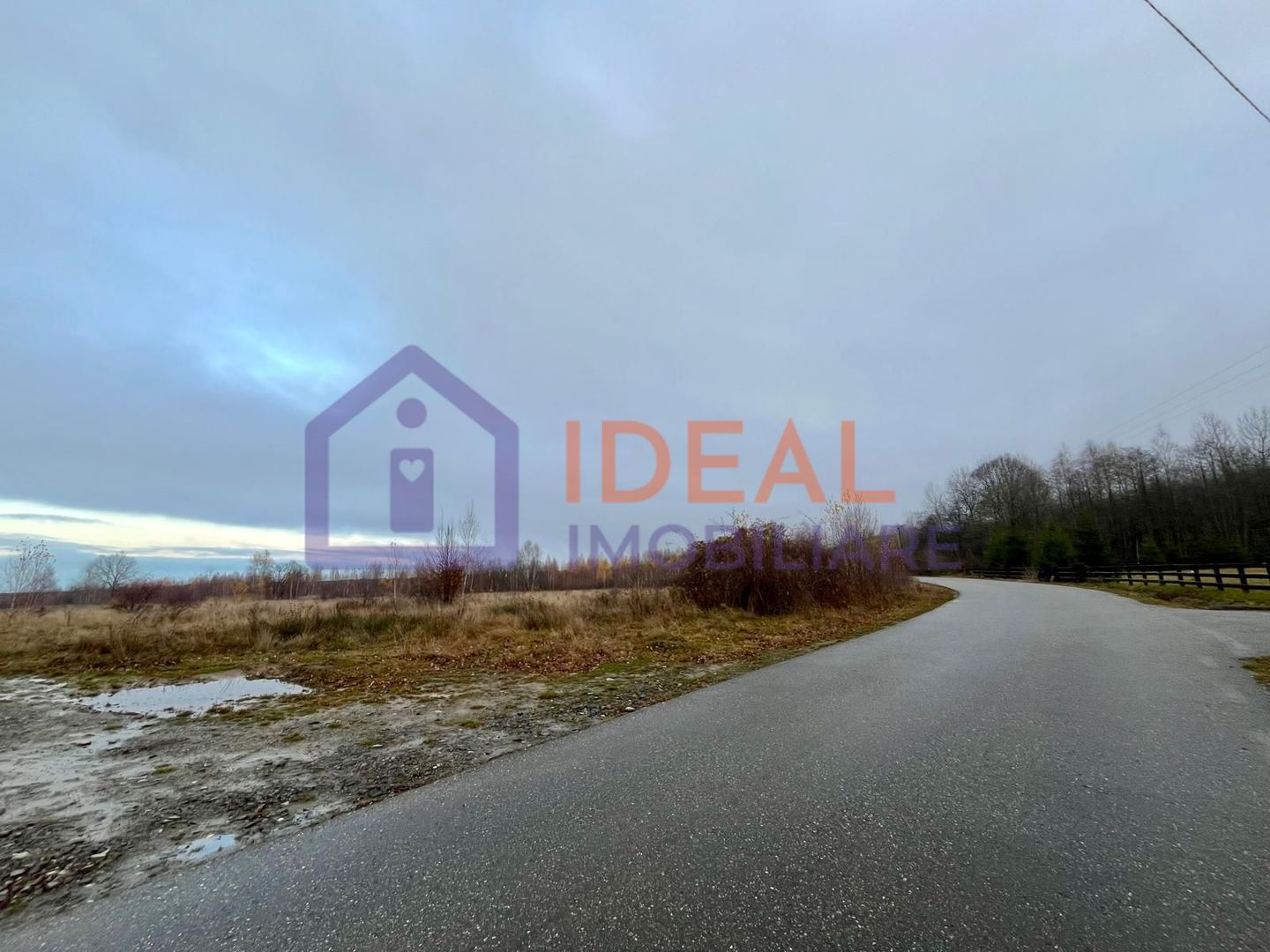 Teren extravilan 6.500 mp – două căi de acces, Cârțișoara - Poză 1