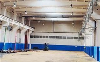 hale in parcul Roman sau tractorul - Poză 6