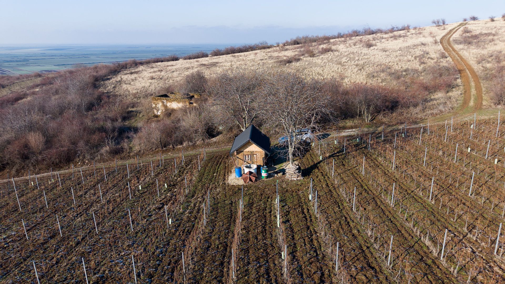 Vita-de-vie Premium  teren de 6800 mp în Covăsinț - Poză 9