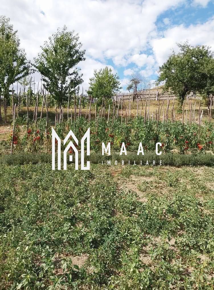 Proprietate cu 60000 mp pamant la pret de apartament - Poză 26