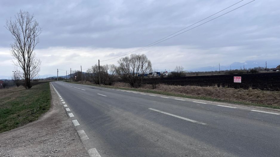 Teren 50000mp Extravilan-Intrare Halchiu-Cod 5235 - Poză 3