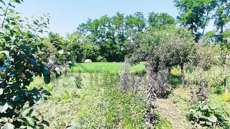 Casă de vânzare, zona Al. I. Cuza, Iași - Poză 7