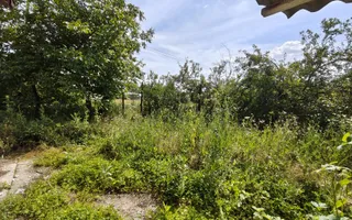 Teren de 11.000 mp cu casă și teren agricol | La 40 km de București | - Poză 20