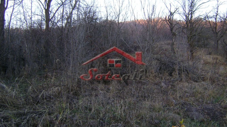 Teren de vanzare Cornu de Jos - Poză 1