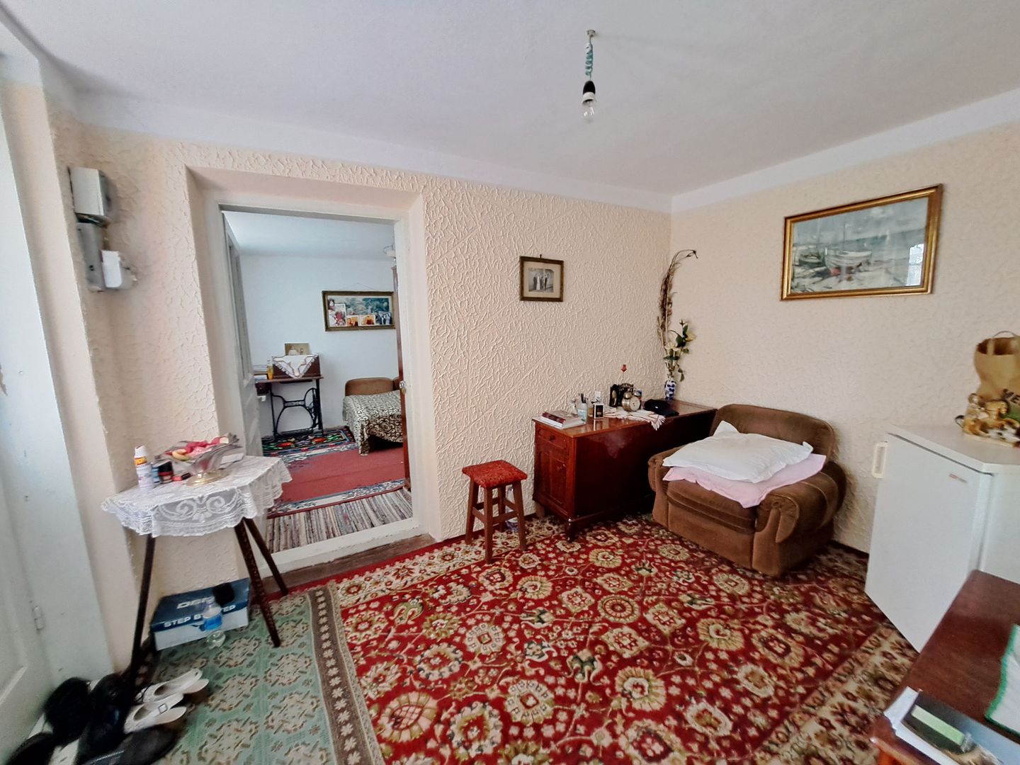 Casa + Teren 13.000 mp - Cervenia - Teleorman - Poză 14