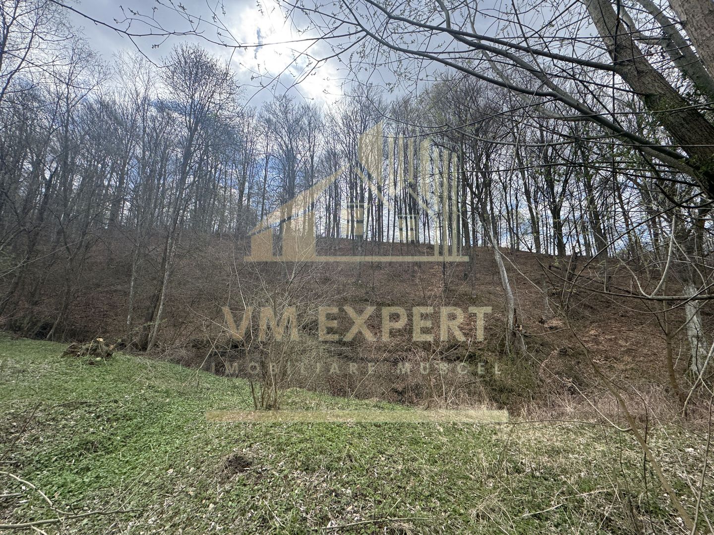 TEREN INTRAVILAN 4365 MP POENARII DE MUȘCEL  JUDEȚUL ARGES - Poză 22