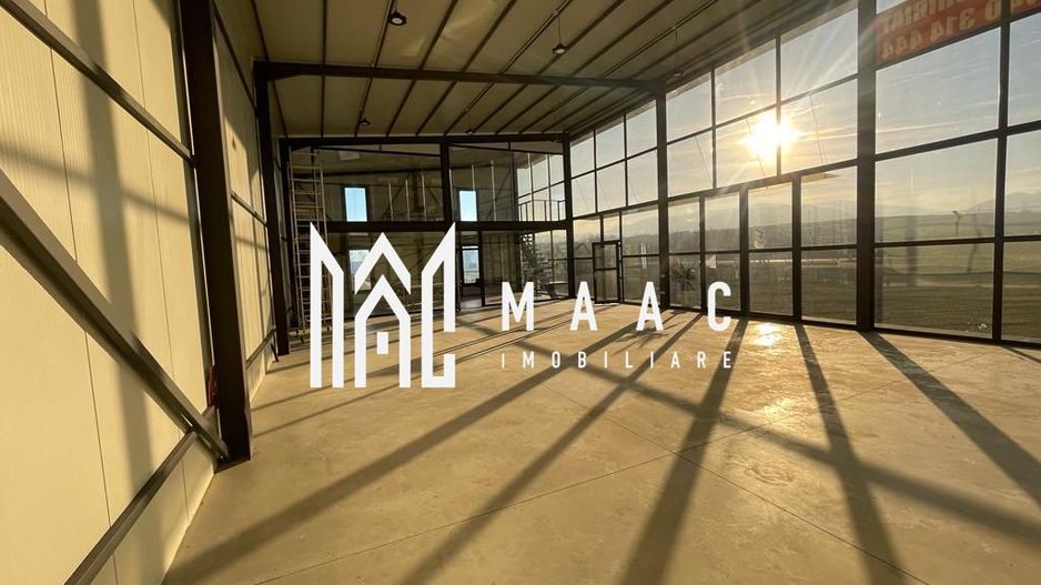 Hala | 250 MP | Teren 11.000 mp | - Poză 8