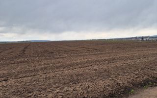 Teren 10,000mp Bacau / Strada Alexandru Safran - Poză 4